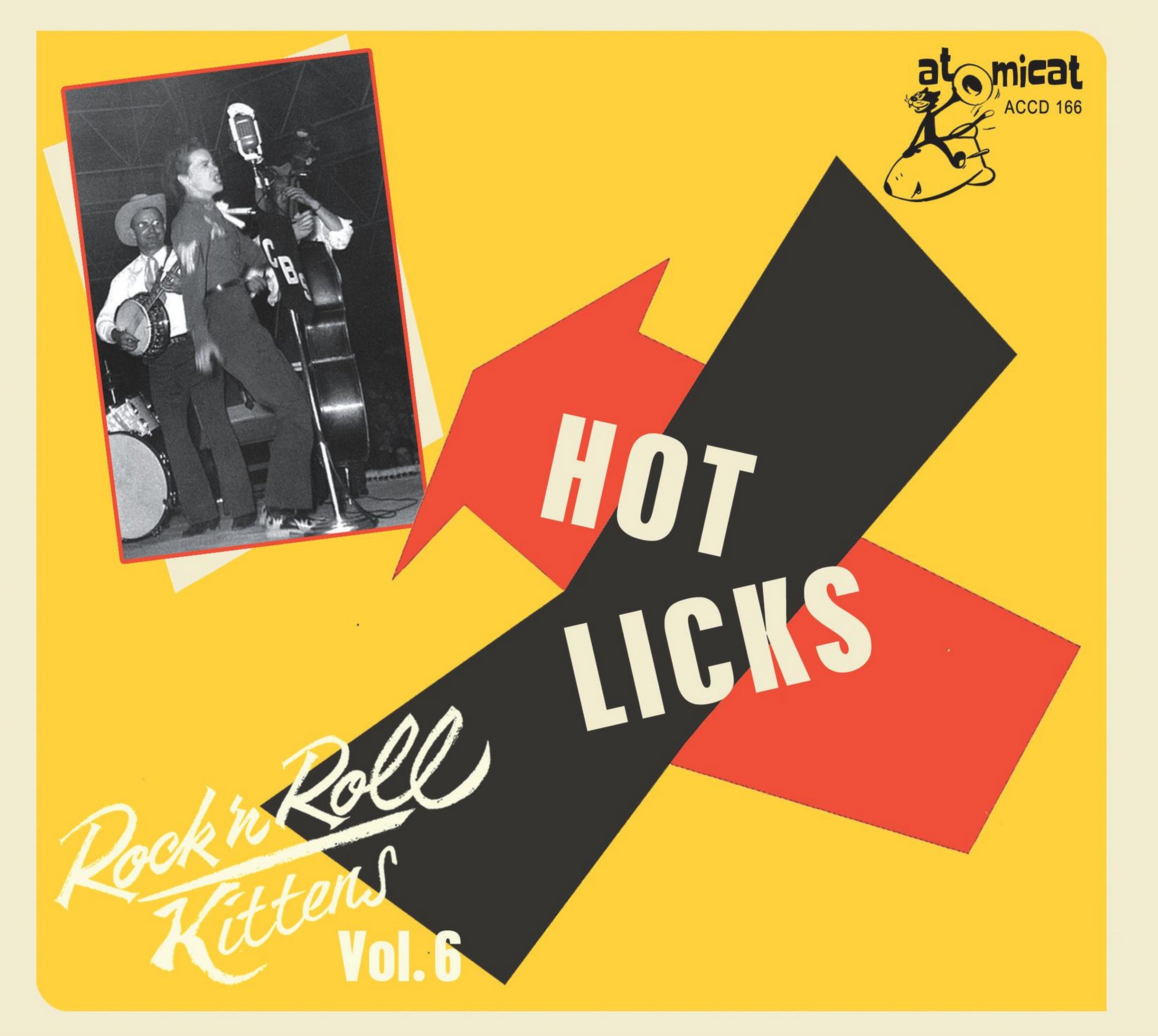 Rock & Roll Kitten Vol 6: Hot Licks (CD)