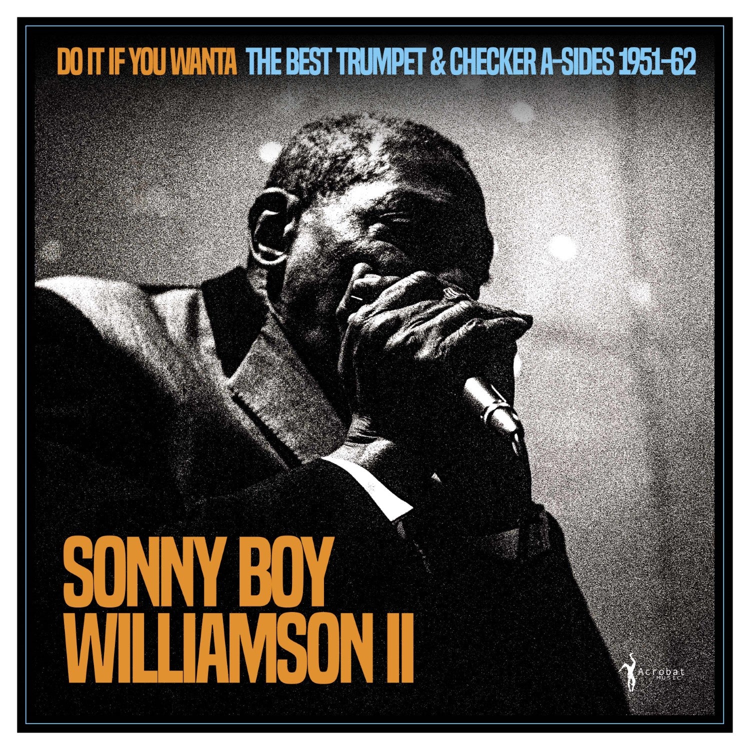 Sonny Boy Williamson II - Do It If You Wanta: The Best Trumpet & Checker A-sides 1951-62 (LP)