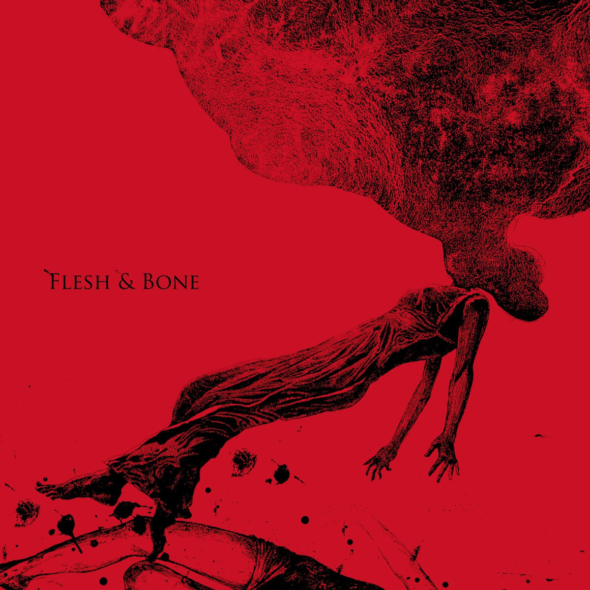 Aneuma - Flesh & Bone (CD)