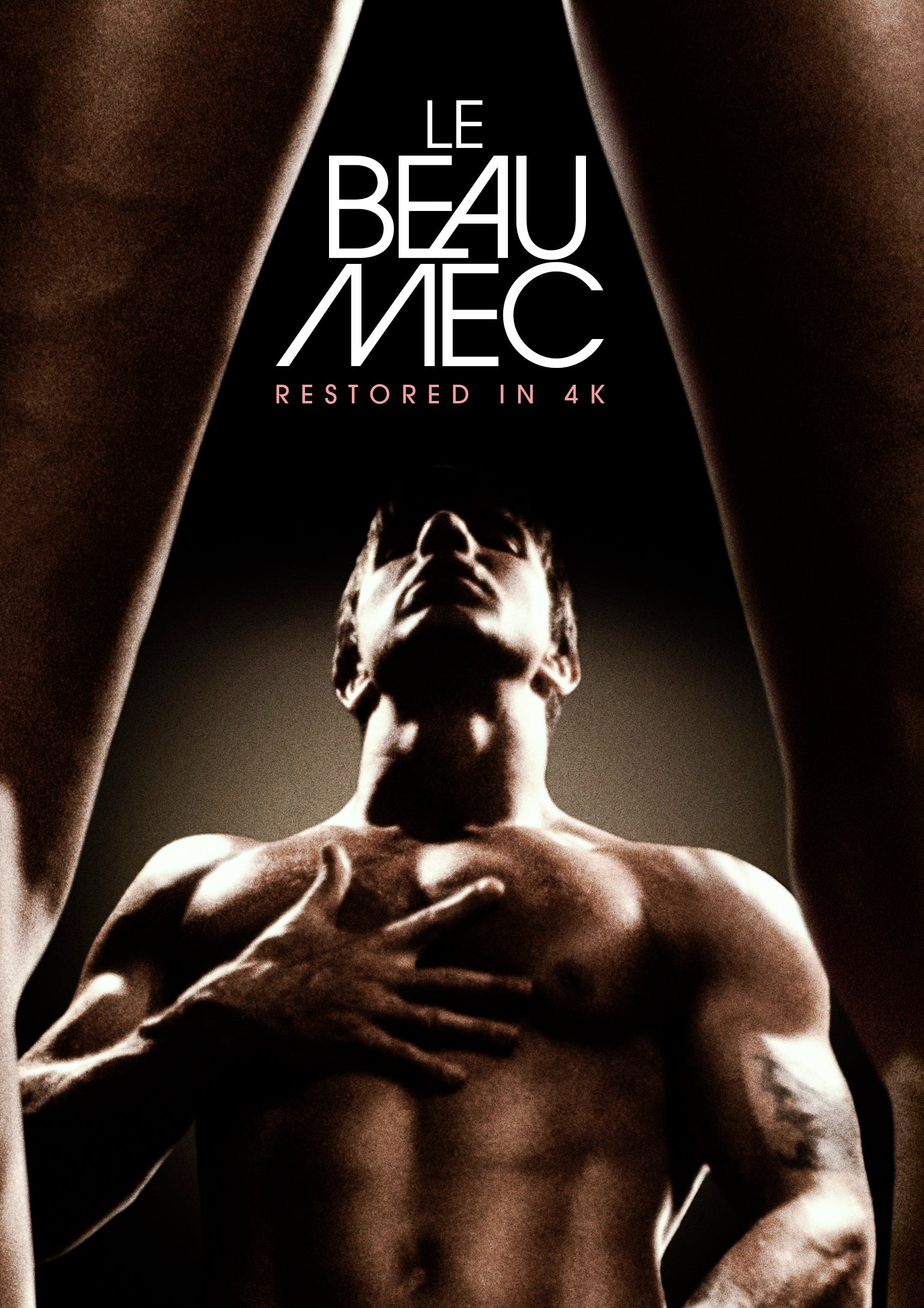 Le Beau Mec (DVD)