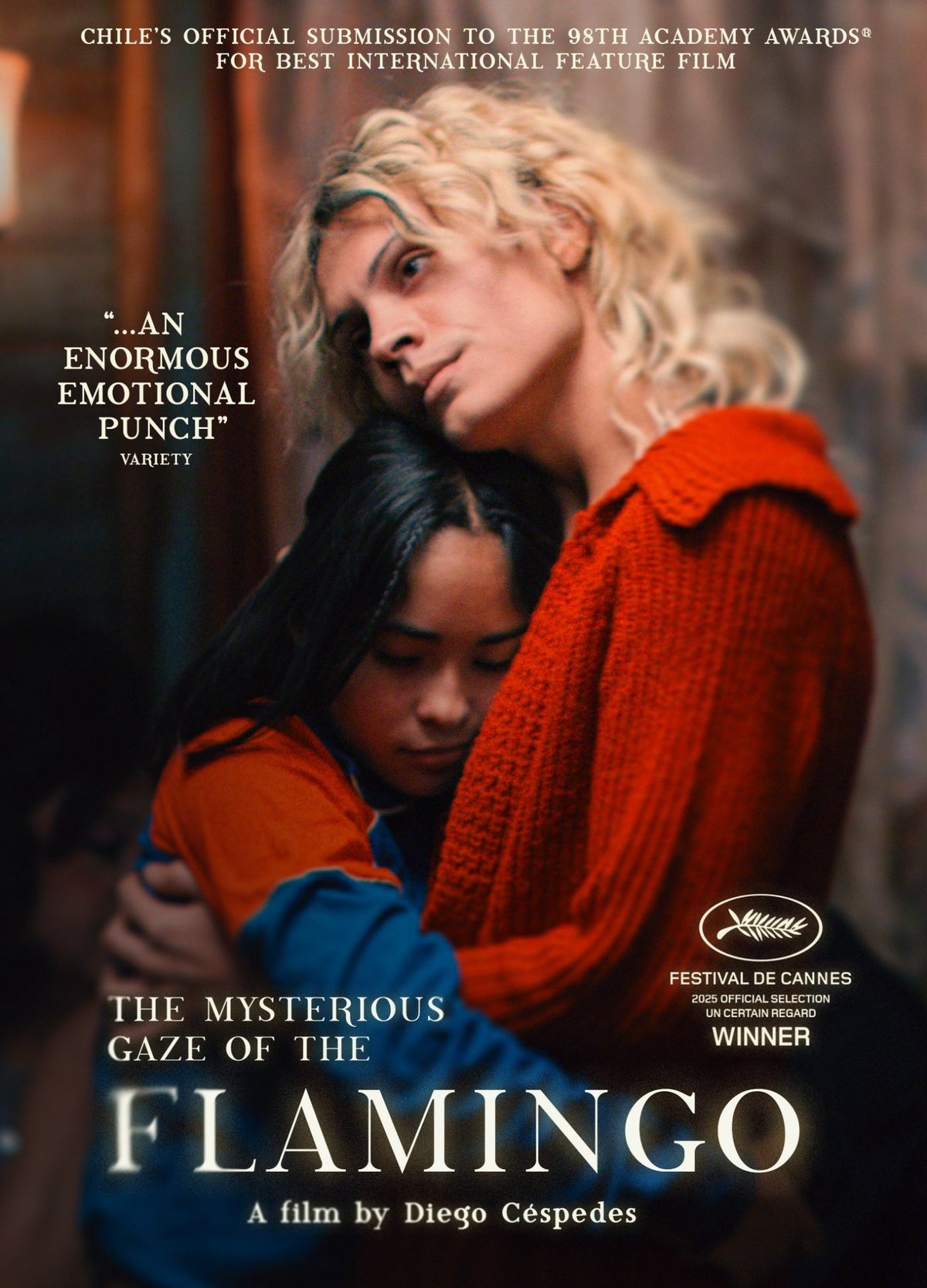The Mysterious Gaze Of The Flamingo (DVD)