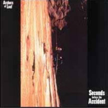 Archers of Loaf - Seconds Before The Accident (CD)