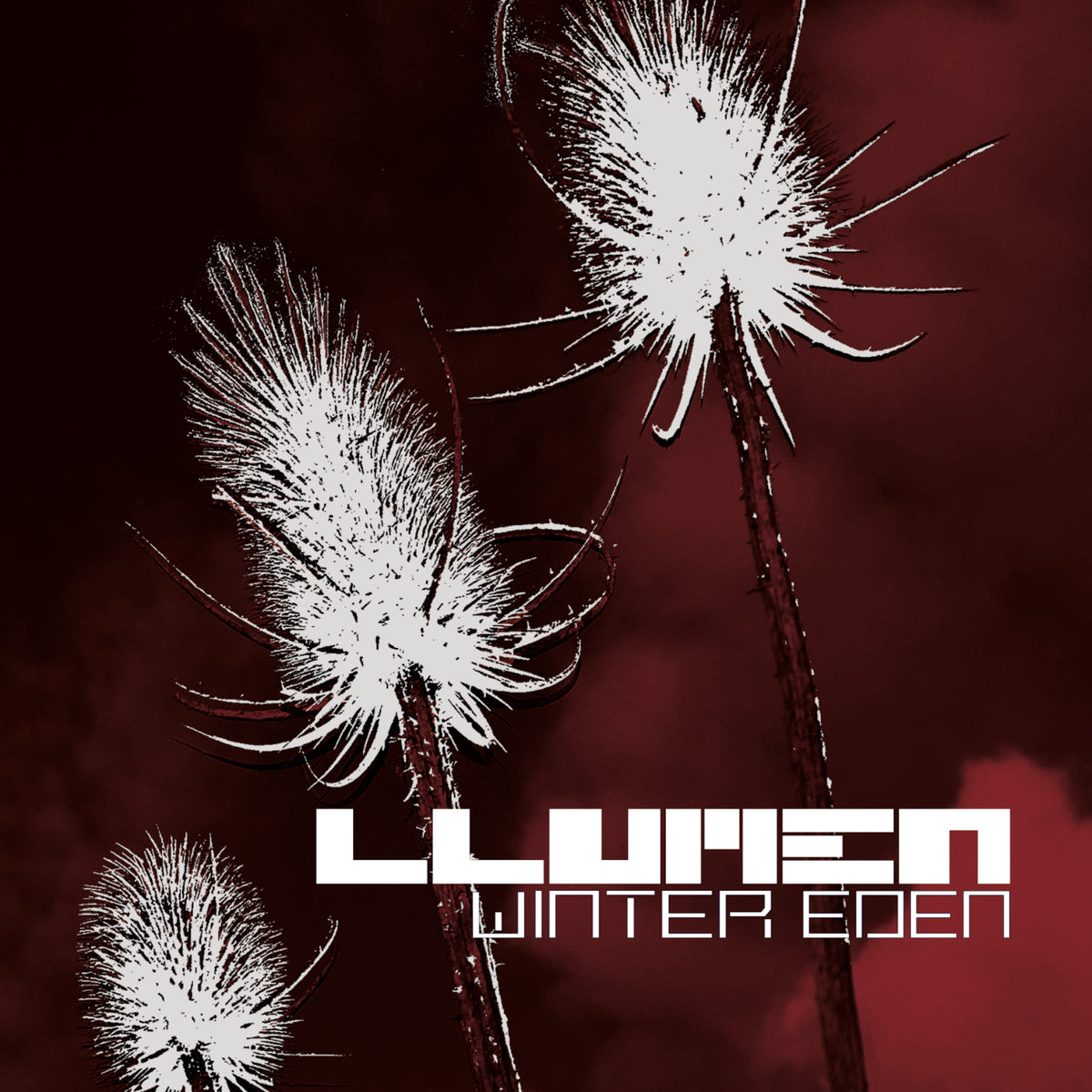 LLUMEN - Winter Eden (CD)