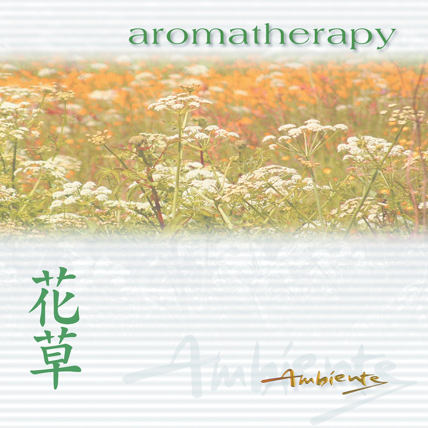Dan Oliver - Aromatherapy (CD)