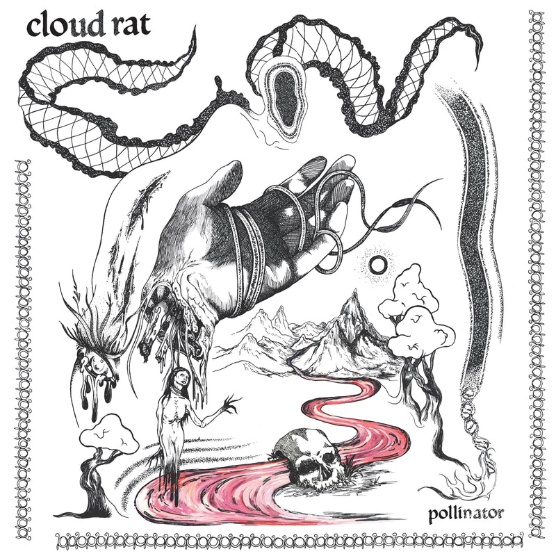 Cloud Rat - Pollinator (LP)