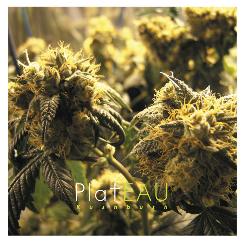 platEAU - Kushbush (LP)