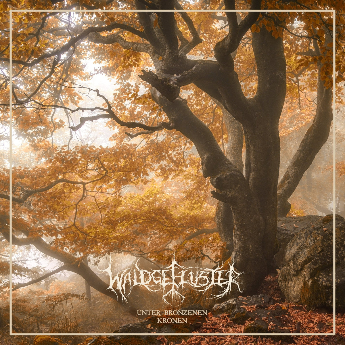 Waldgeflüster - Unter Bronzenen Kronen (LP)