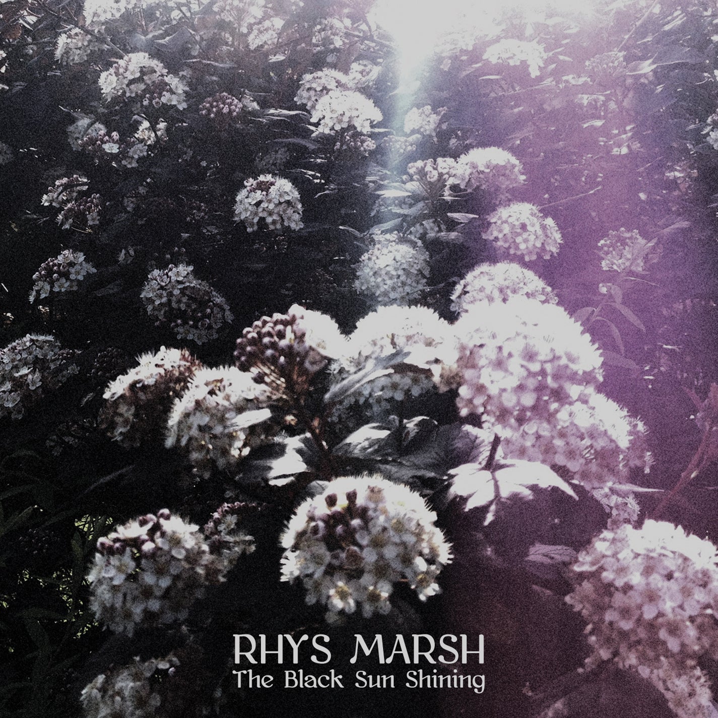 Rhys Marsh - The Black Sun Shining [SINGLE] (CD)