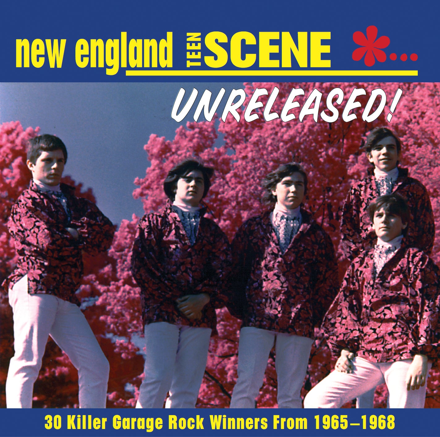 New England Teen Scene-unreleased [1965-1968] (CD)