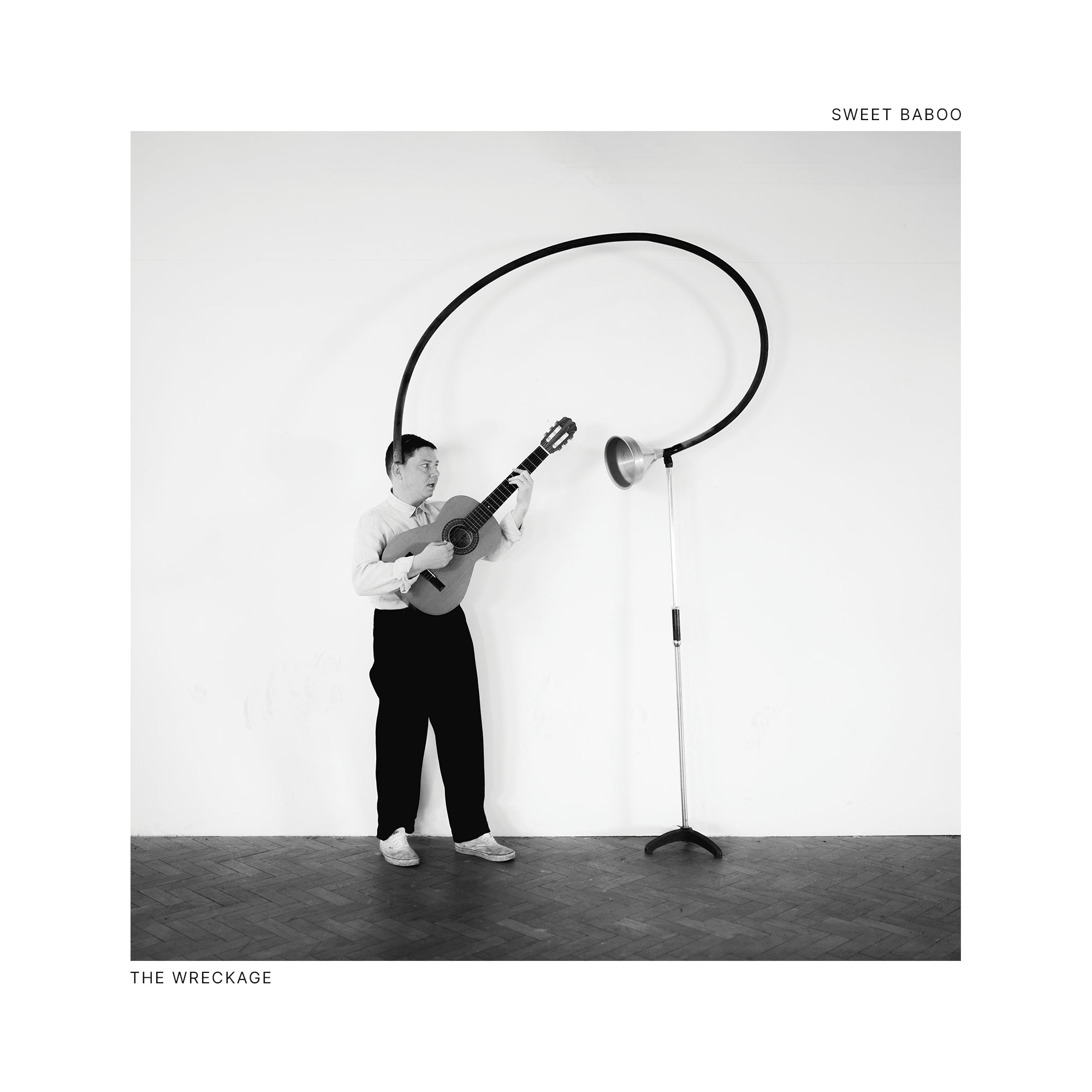 Sweet Baboo - The Wreckage (LP)