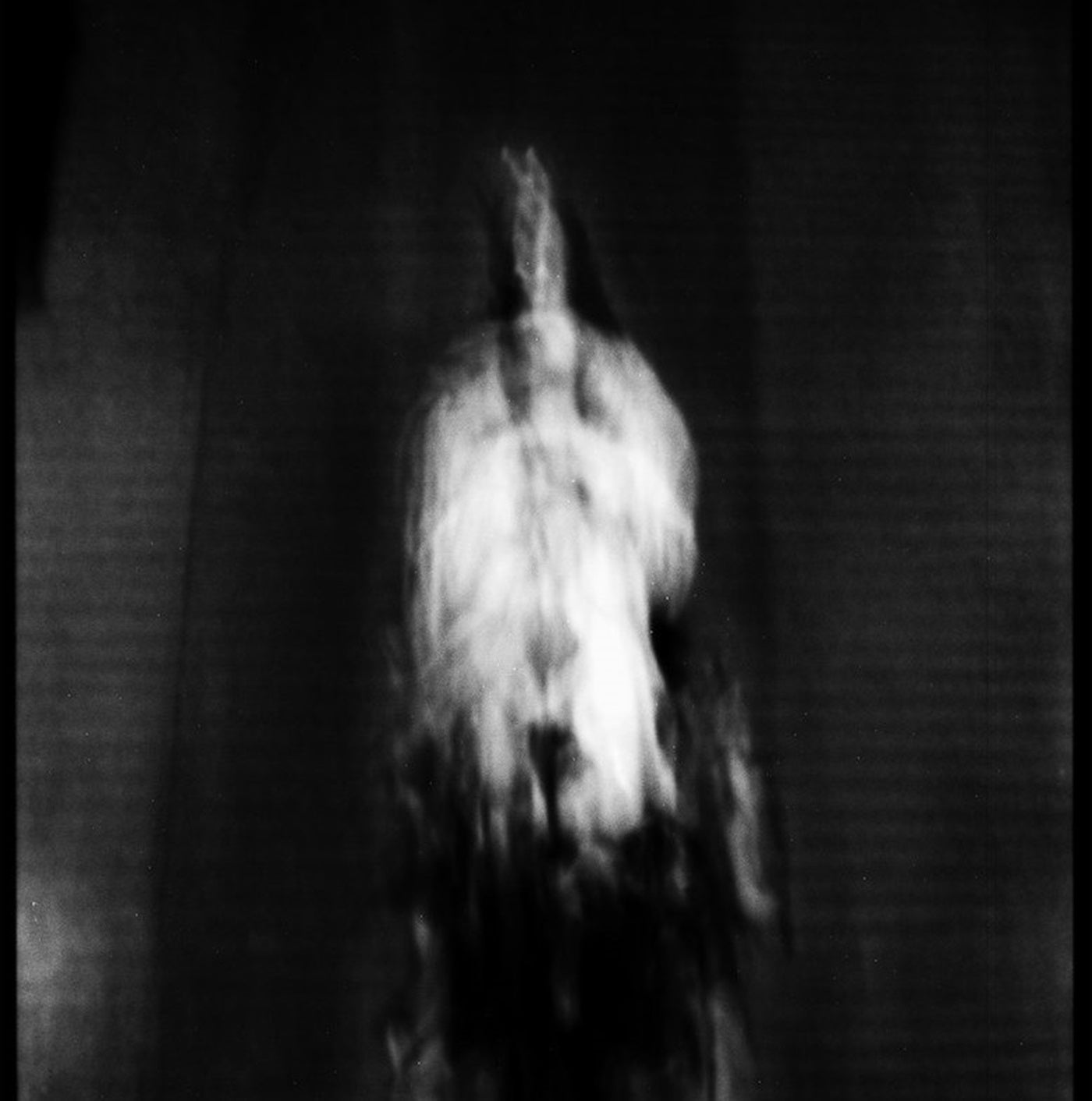 Cigno - Morte E Pianto Rituale (LP)