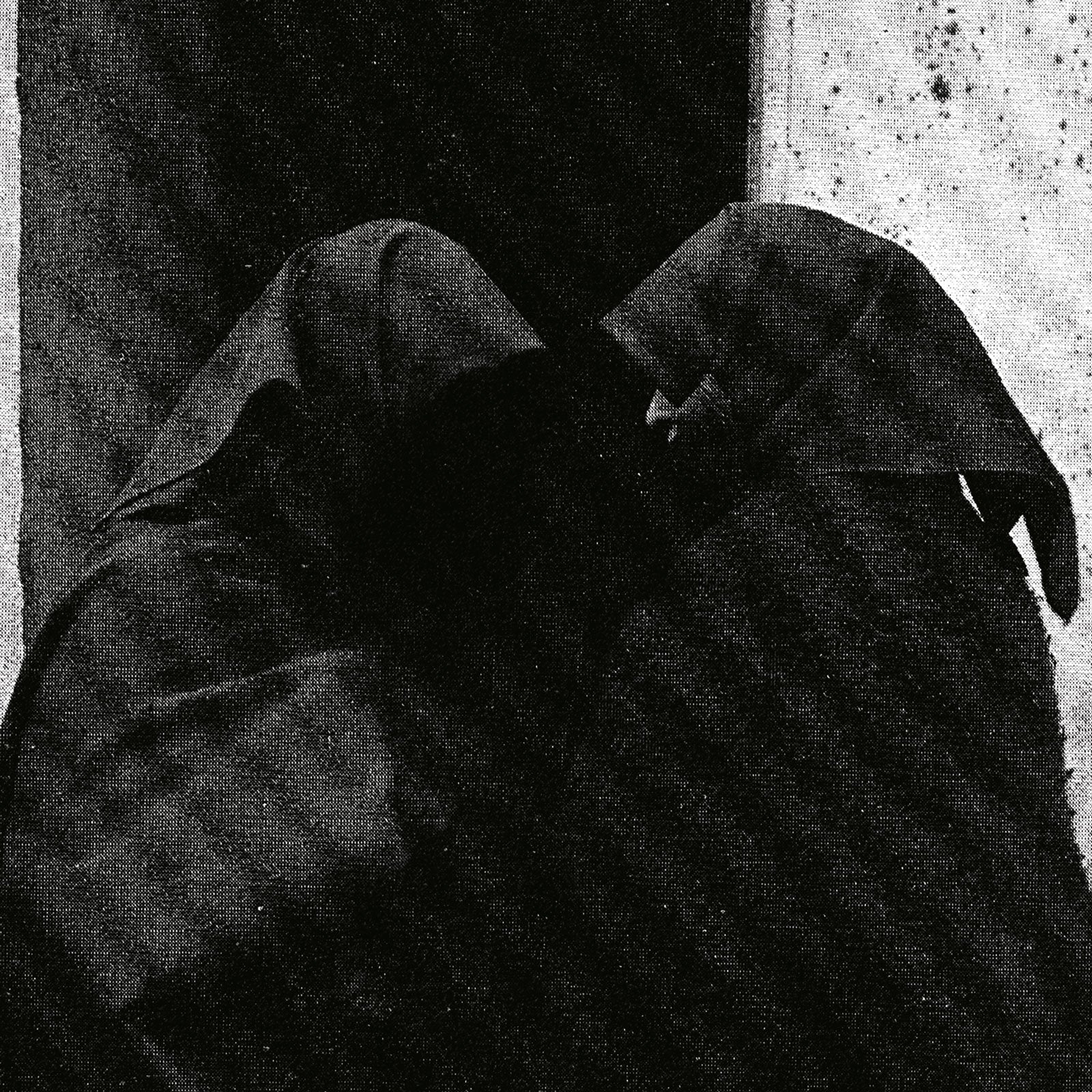 Downfall Of Nur - And The Firmament Will Burn To Quench The Pain Of This Earth (LP)