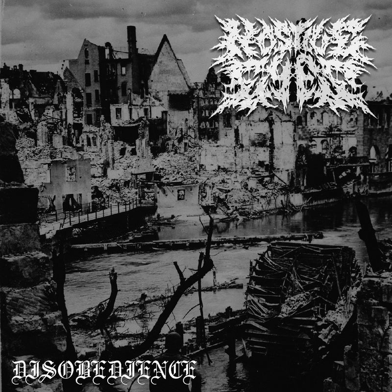 Hostile Eyes - Disobedience (CD)