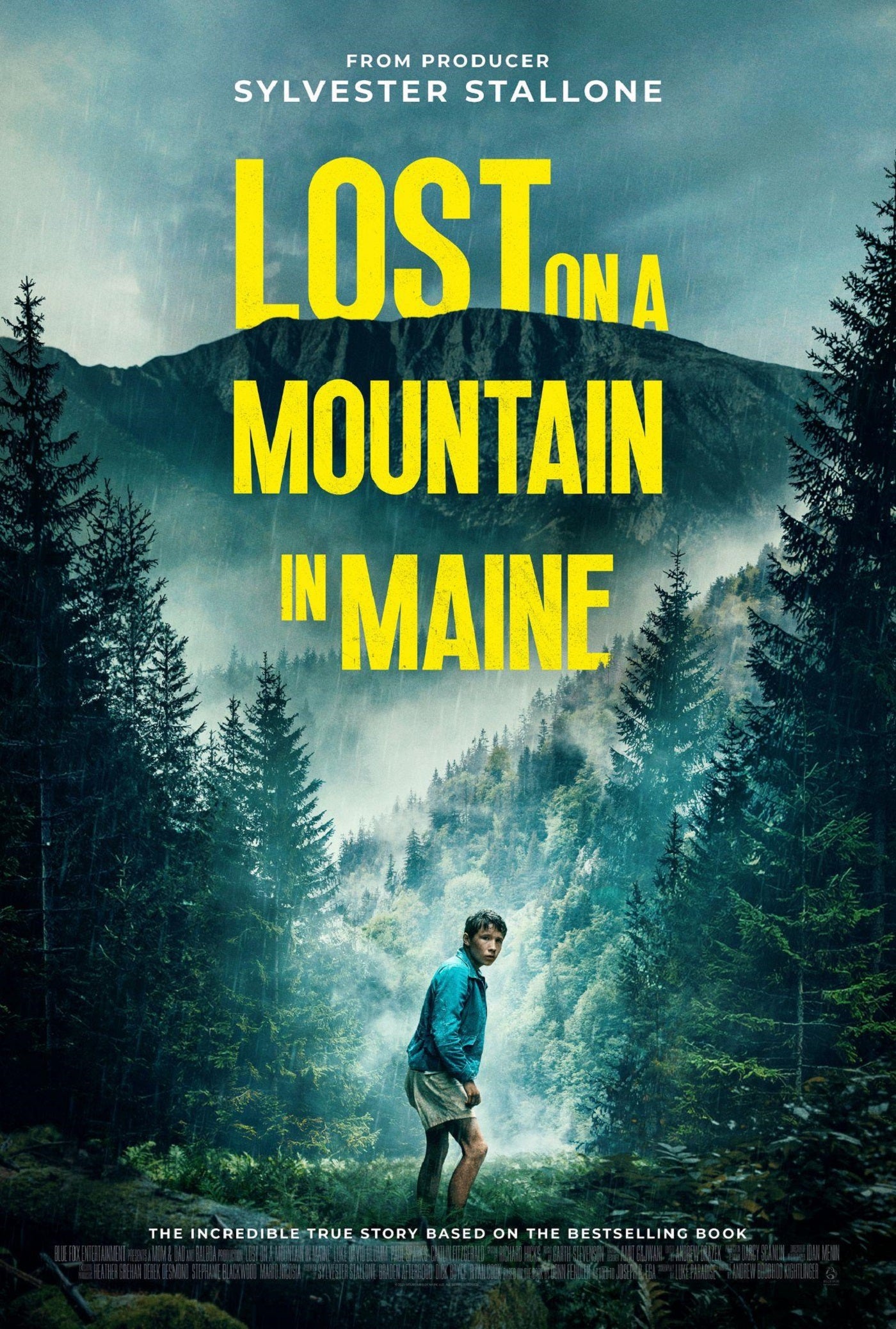 Lost On A Mountain In Maine (Blu-ray)
