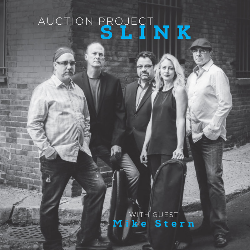 David Bixler Auction Project - Slink (CD)