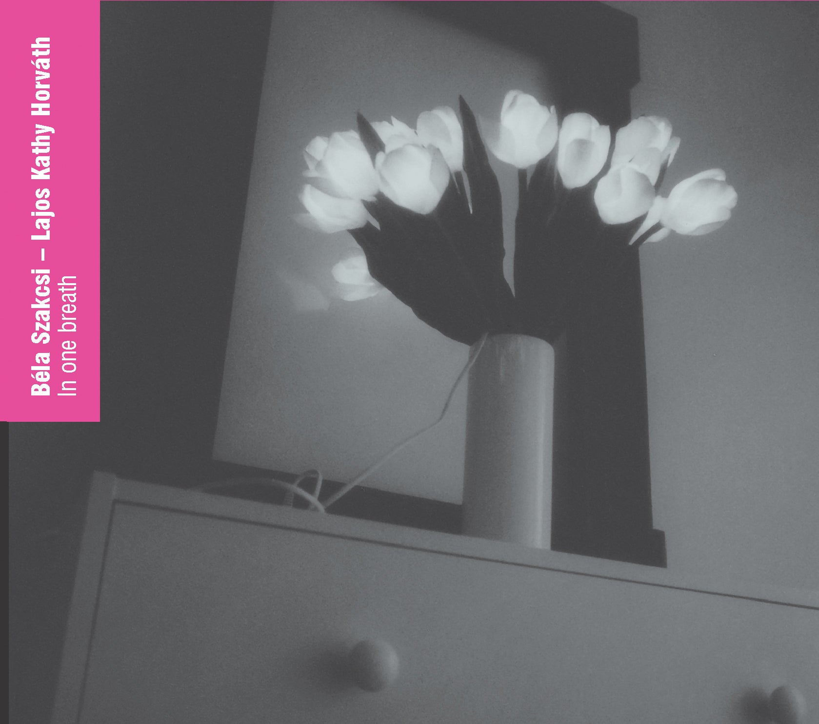 Szakcsi Lakatos, Bela / Kathy Horvath, Lajos - In One Breath (CD)
