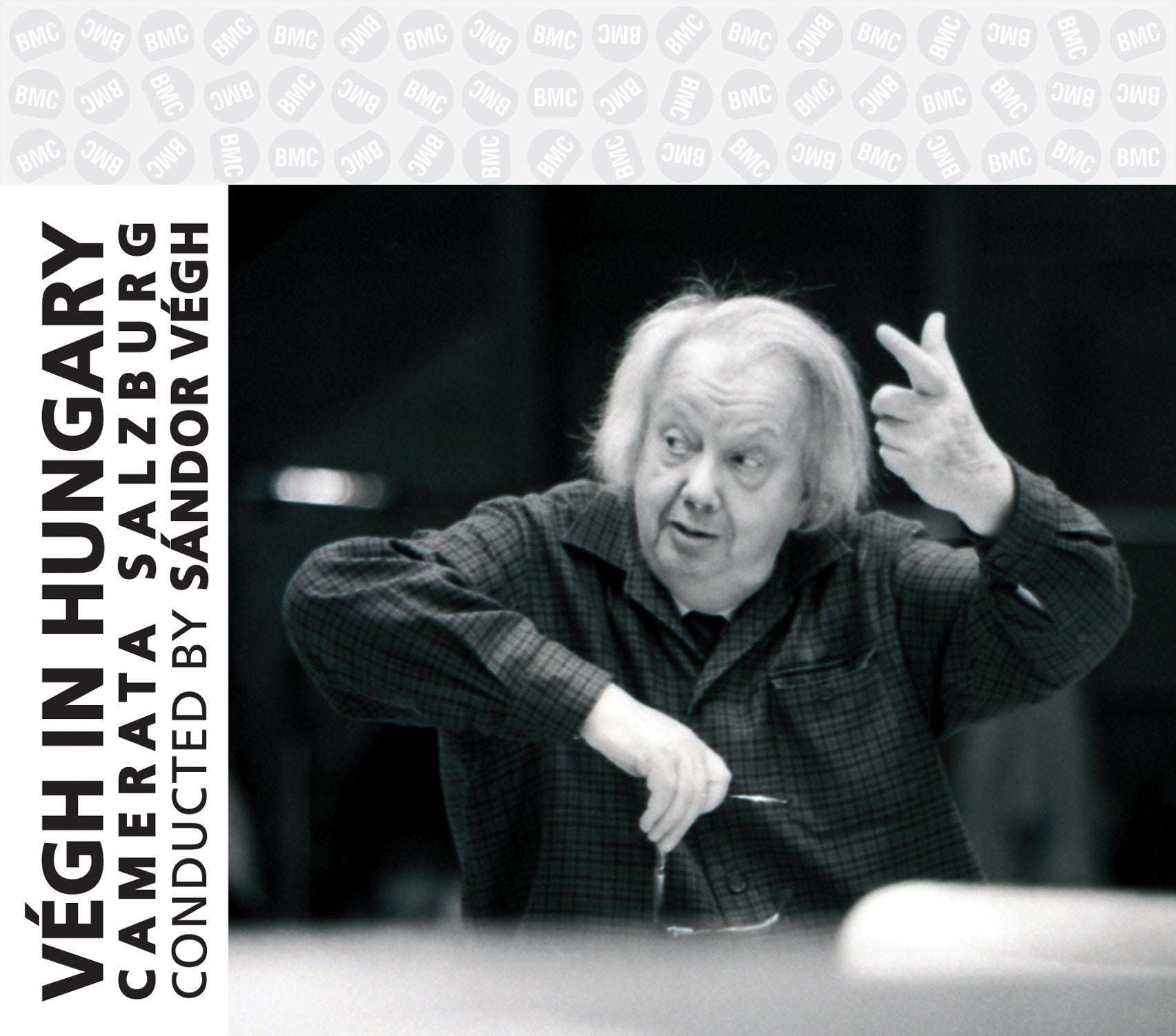 Sandor Vegh & Camerata Salzburg - Vegh In Hungary (CD)