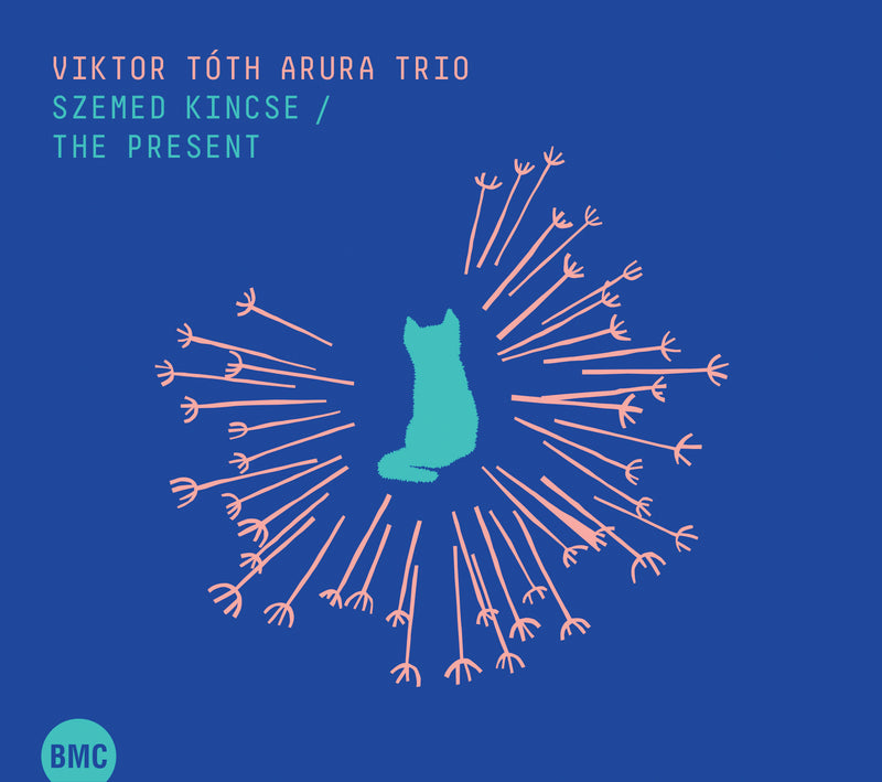 Viktor Toth Arura Trio - The Present (CD)