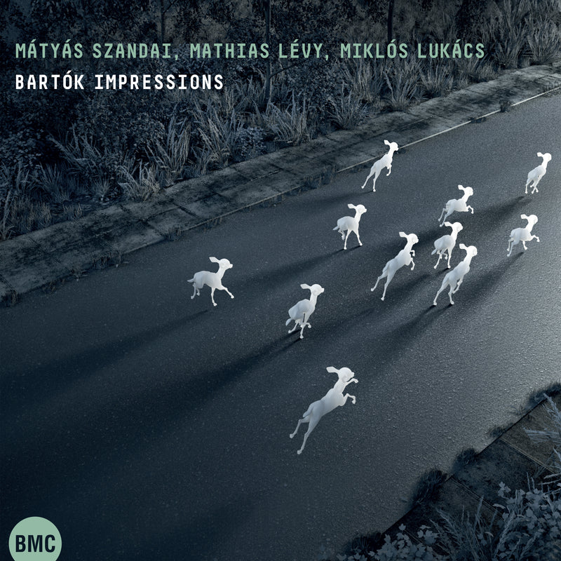 Matyas Szandai & Mathias Levy & Miklos Lukacs - Bartok Impressions (CD)