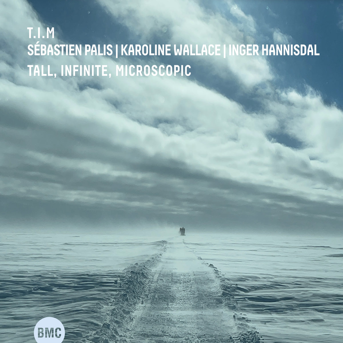 T.I.M. - Tall, Infinite, Microscopic (CD)