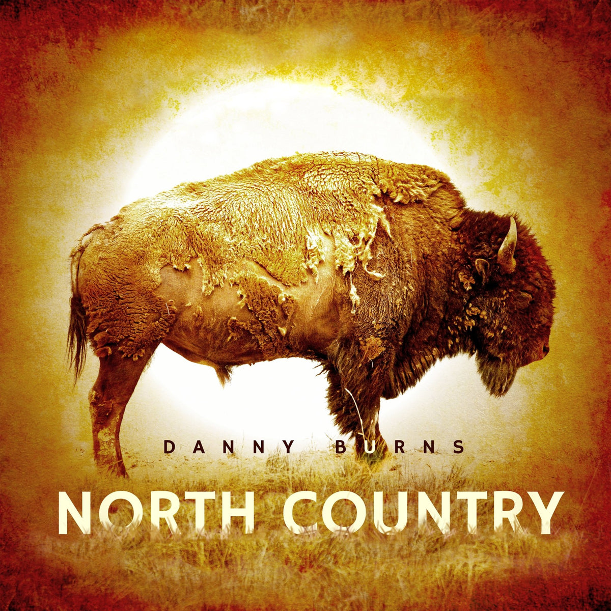 Danny Burns - North Country (LP)
