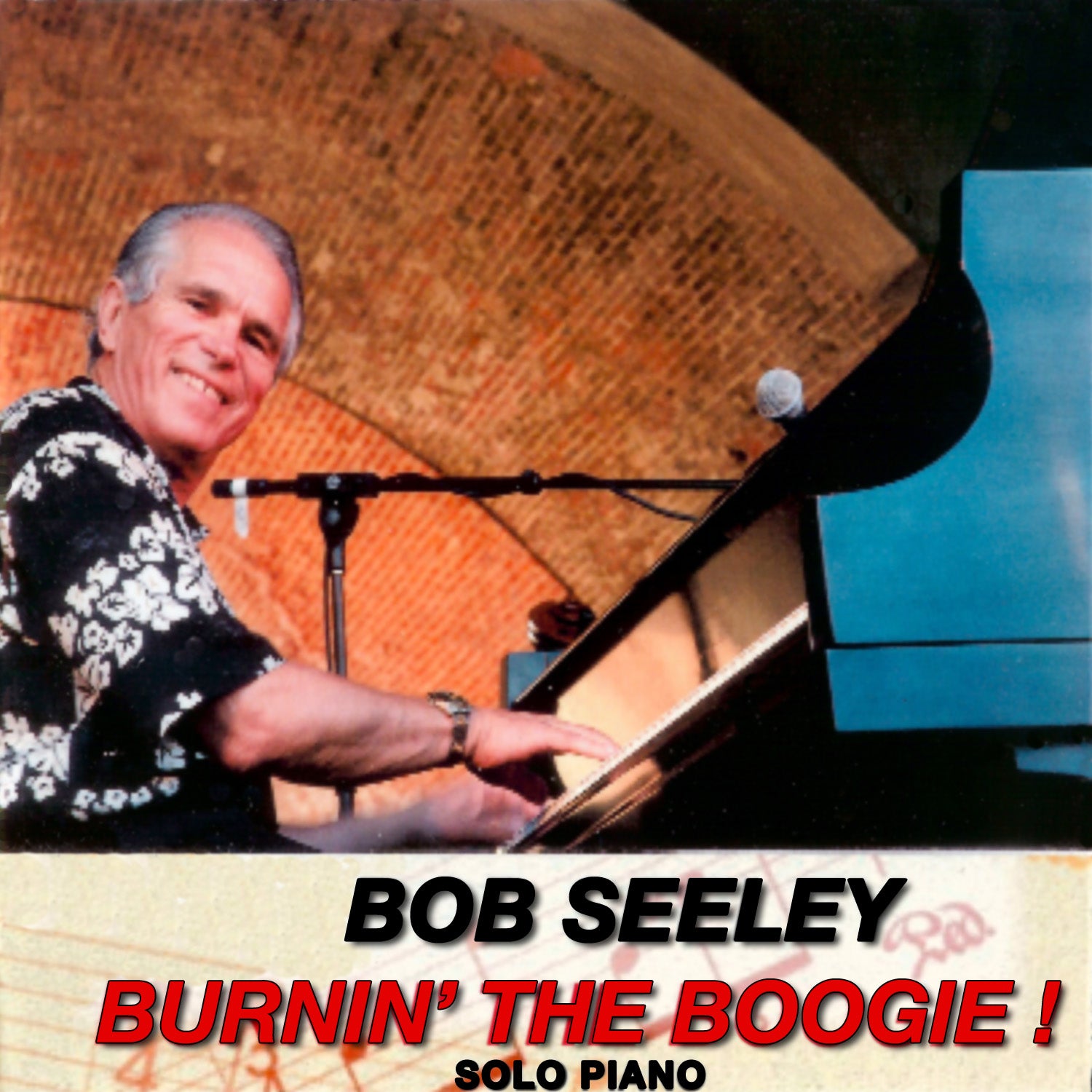 Bob Seeley - Burnin' The Boogie (CD)
