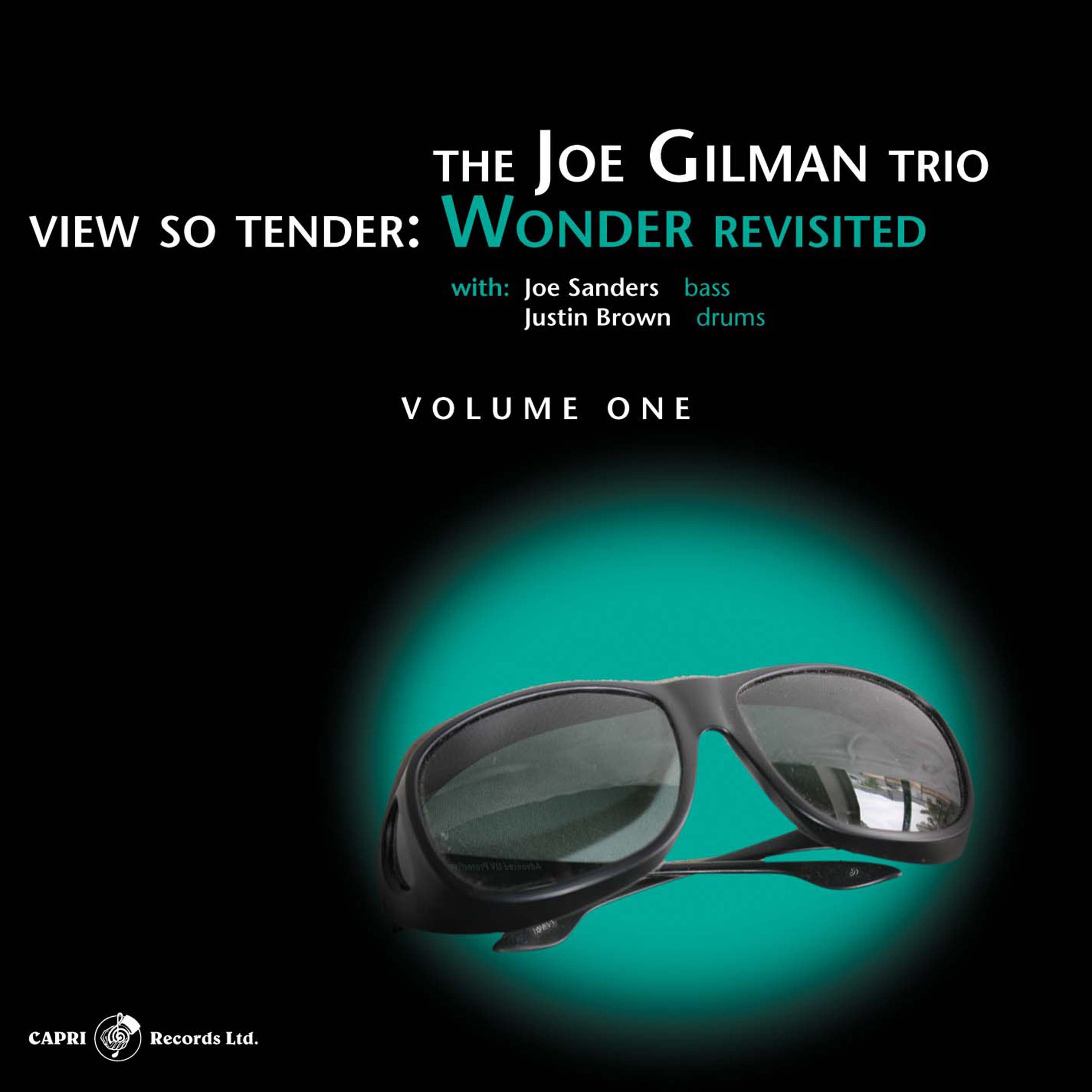 Joe Gilman - View So Tender: Wonder Revisited Vol. 1 (CD)