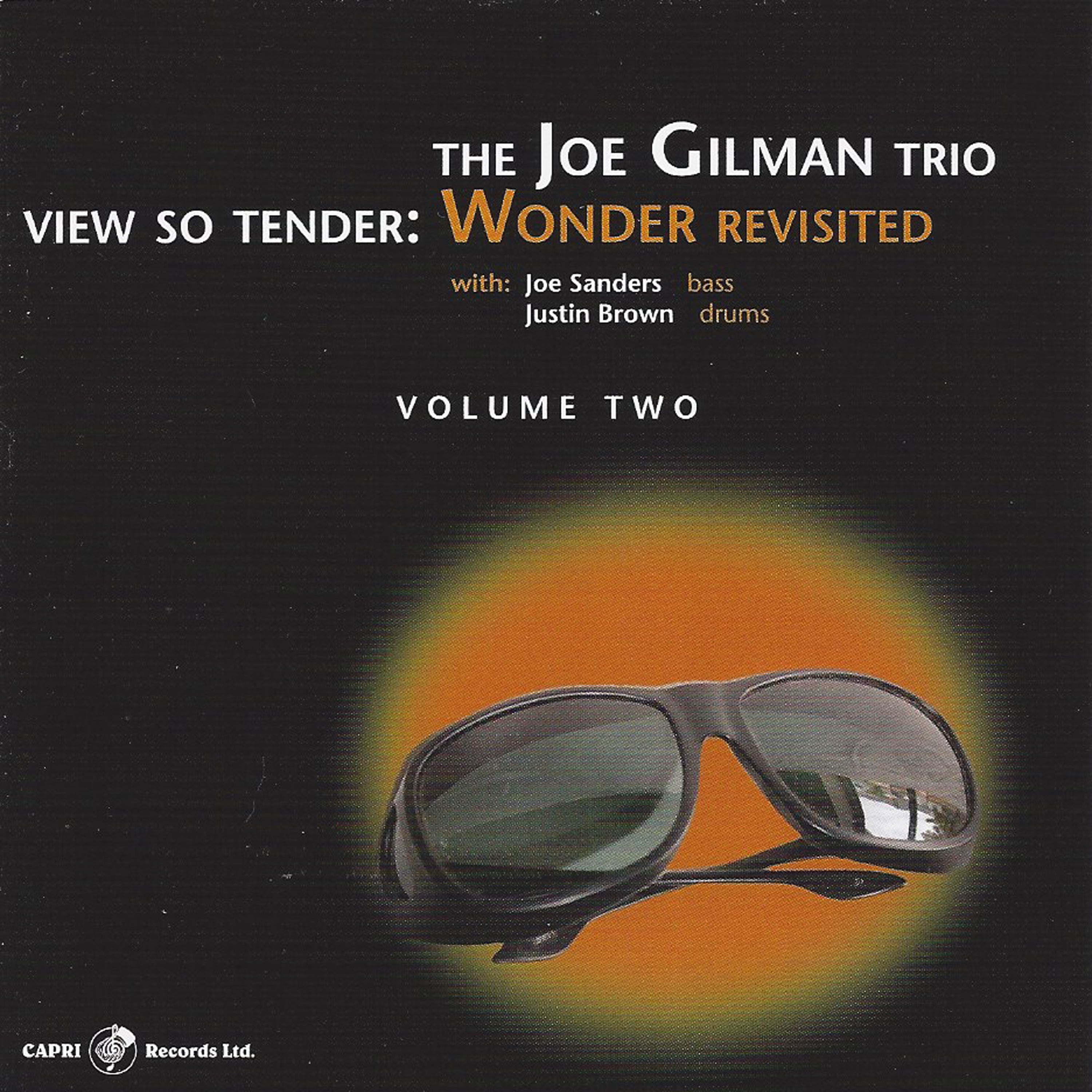 Joe Gilman - View So Tender: Wonder Revisited Vol. 2 (CD)