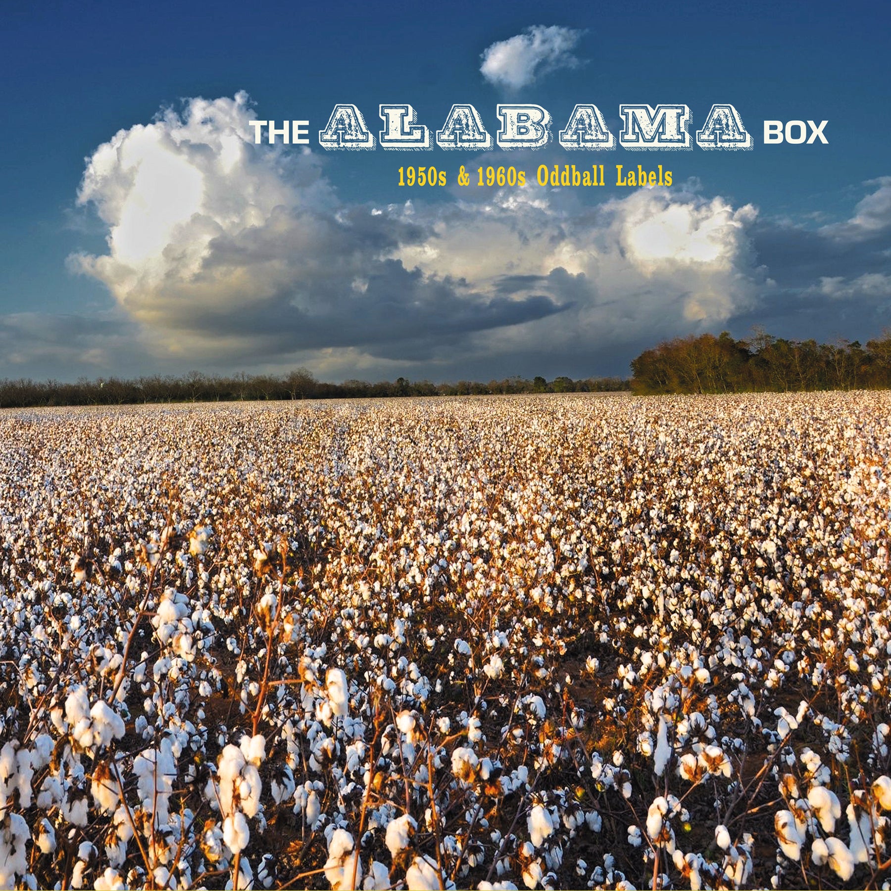洋楽 THE ALABAMA BOX 1950s & 1960s Oddball... Various Artists The Alabama Box: 1950s & 1960s Oddball Labels (8