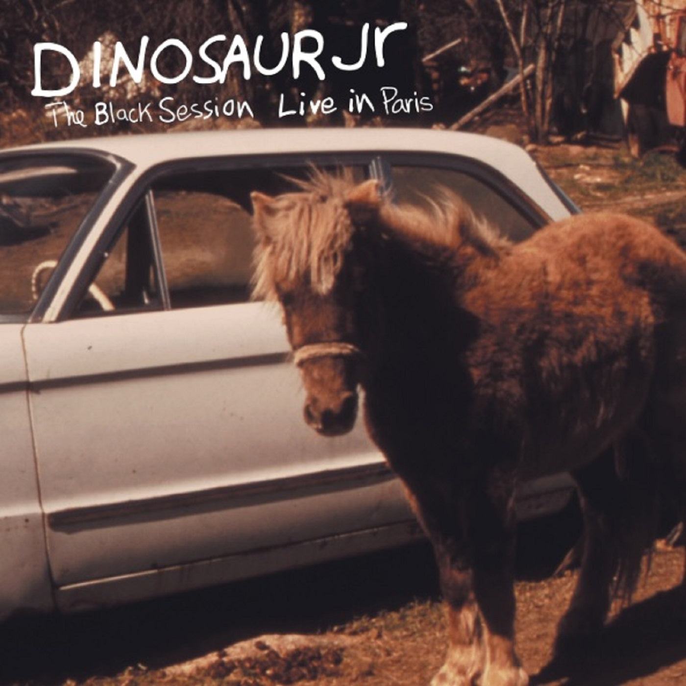 Dinosaur Jr. - The Black Session: Live In Paris 1993 (CD)