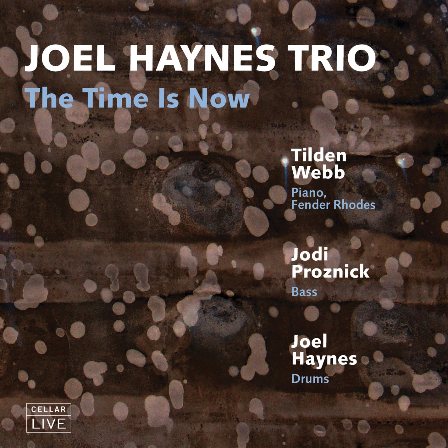 Joel Haynes Trio - The Time Is Now (CD)