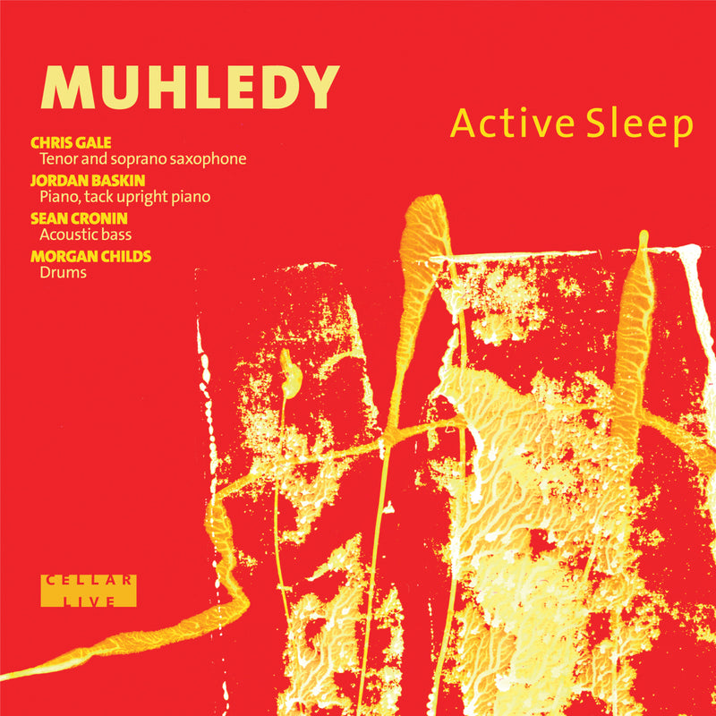Muhledy - Active Sleep (CD)