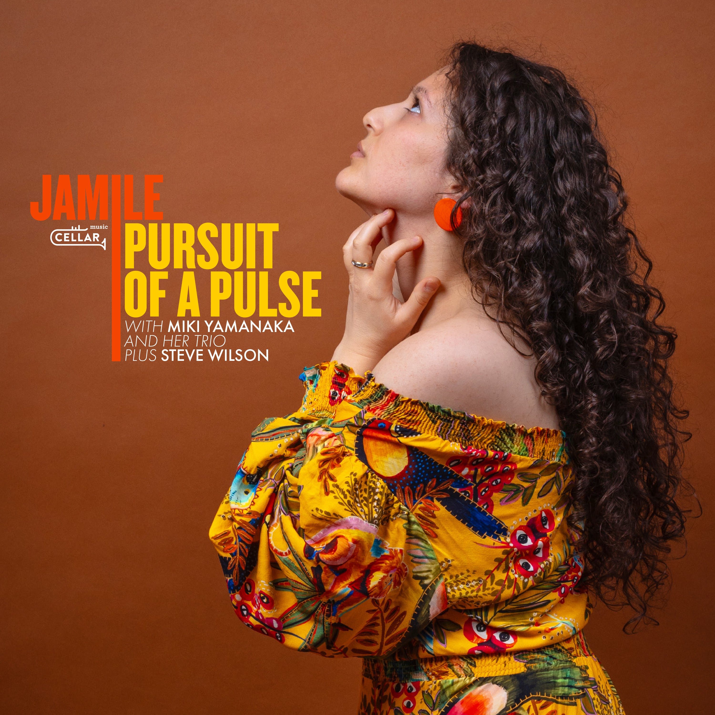 Jamile & Miki Yamanaka & Steve Wilson - Pursuit Of A Pulse (LP)