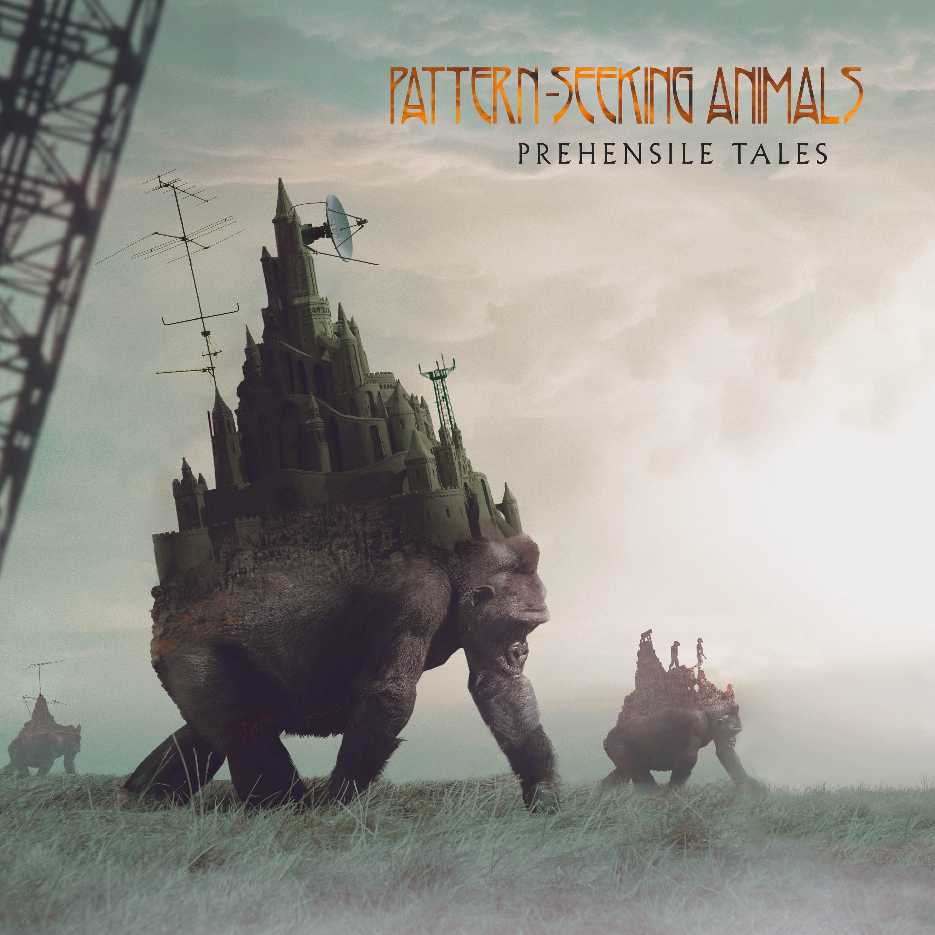 Pattern-Seeking Animals - Prehensile Tales (LP)