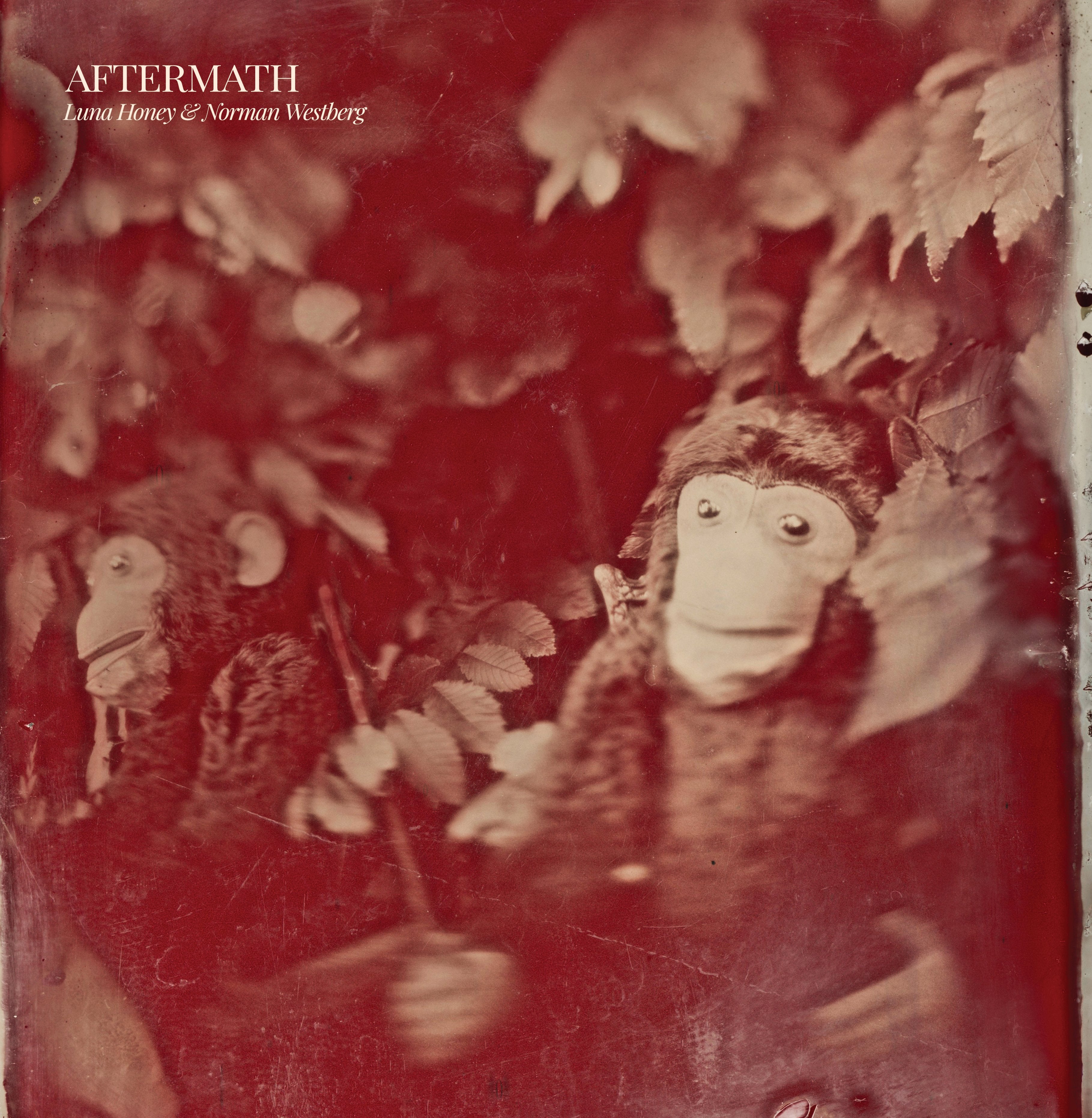 Luna Honey & Norman Westburg - Aftermath (LP)