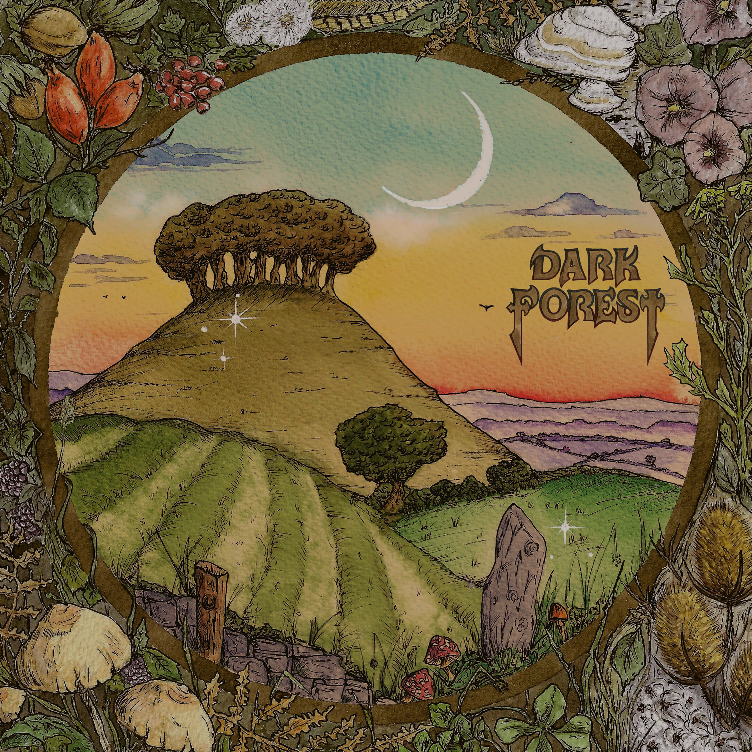 Dark Forest - Ridge & Furrow (LP)