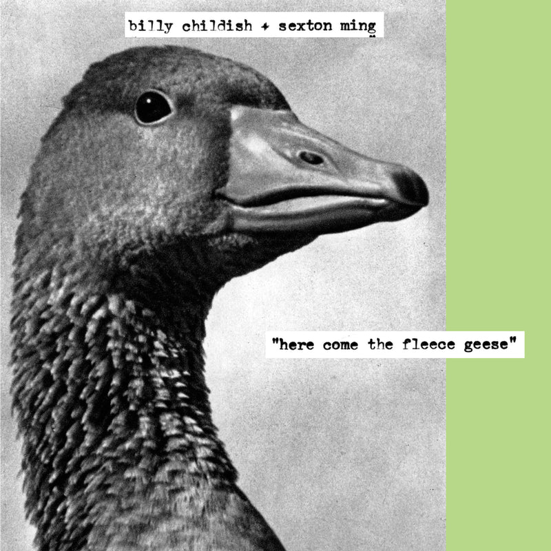 Billy Childish & Sexton Ming - Here Come The Fleece Geese (CD)