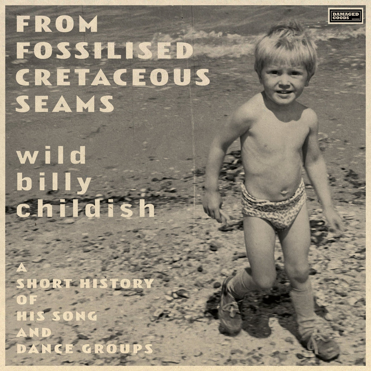 Billy Childish - From Fossilised Cretaceous Seams: A Short History Of His Song And Dance Groups (CD)