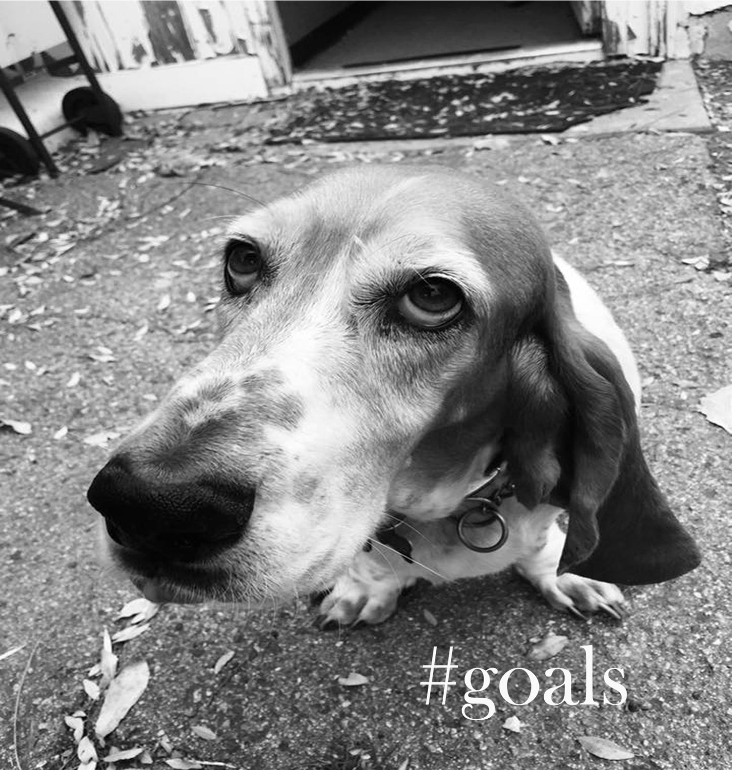 #goals - #goals (CD)