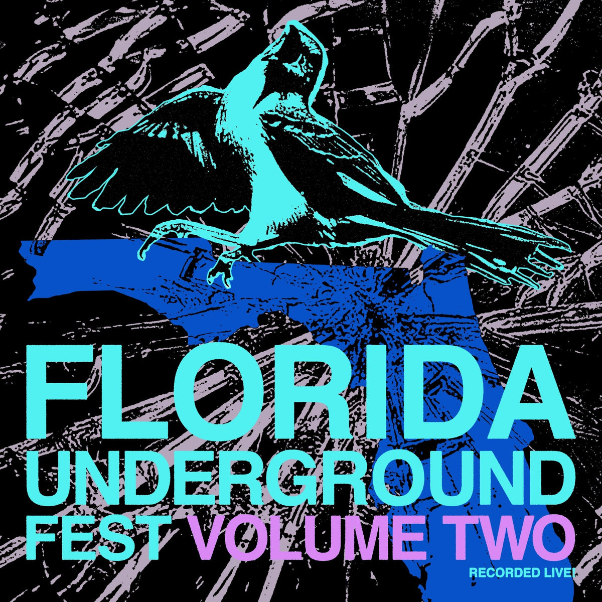 Florida Underground Fest Vol. 2 (LP)