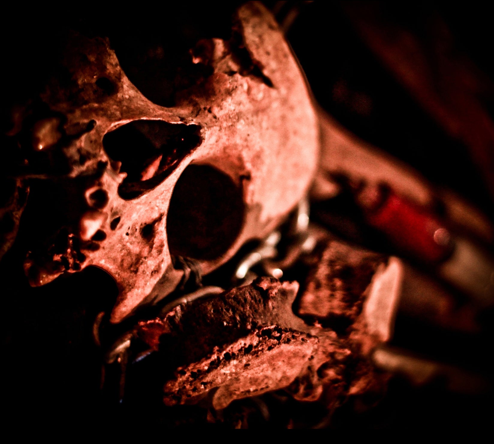 Funeral In Heaven/Plecto Aliquem Capite - Astral Mantras Of Dyslexia (CD)