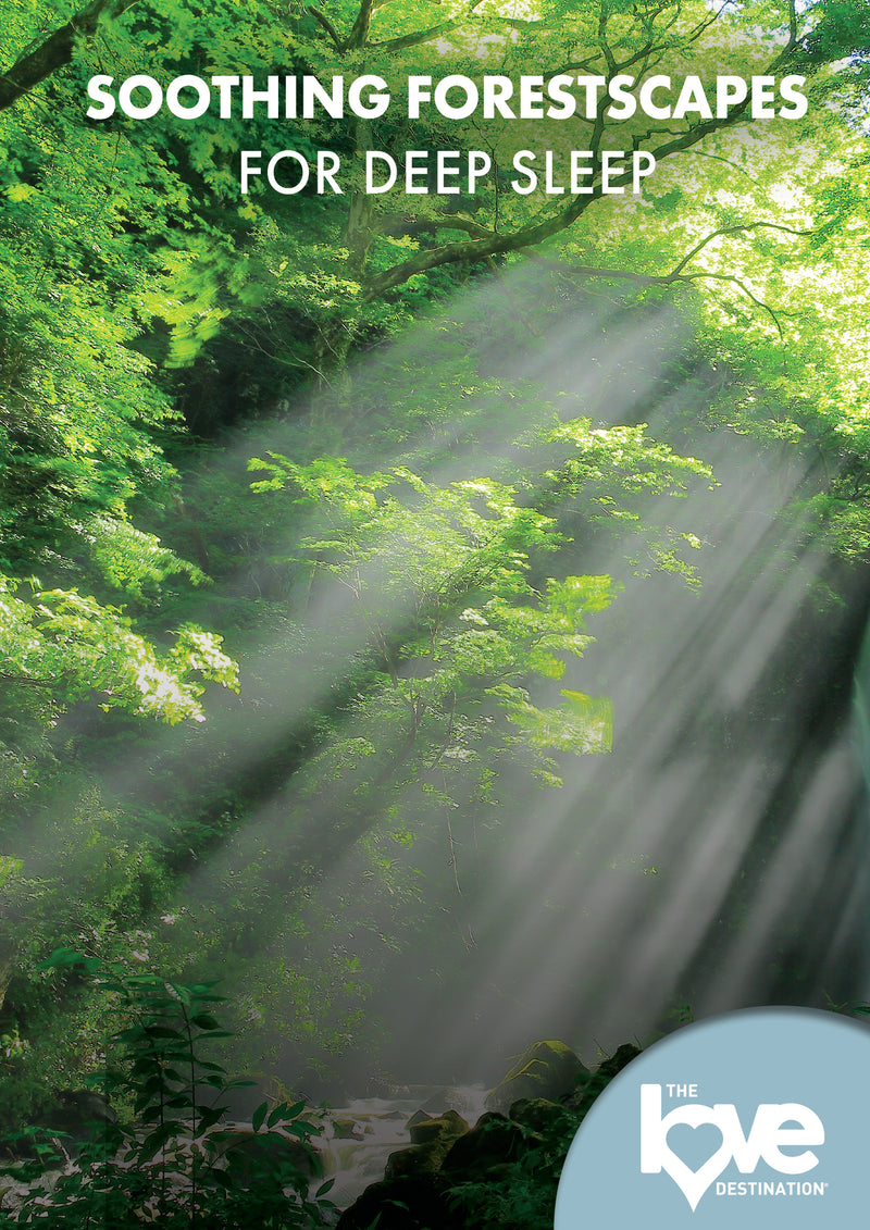 The Love Destination Courses: Soothing Forestscapes For Deep Sleep (DVD)