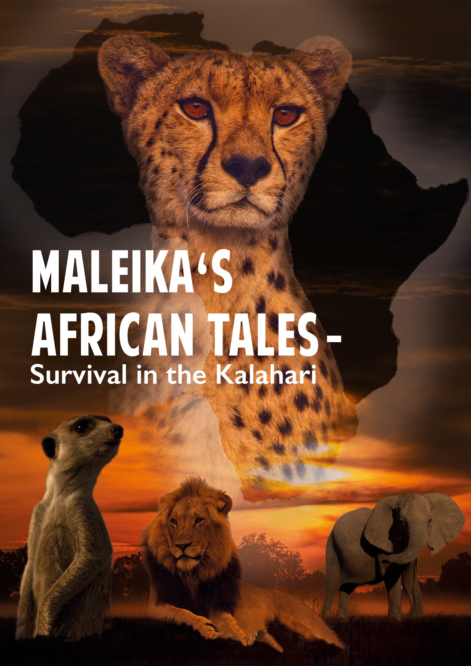 Maleika's African Tales - Survival in the Kalahari (DVD)