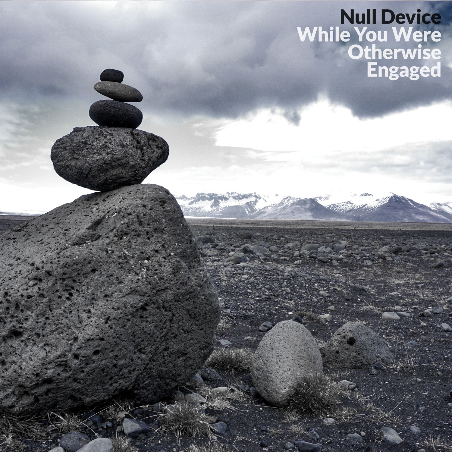 Null Device - While You Were Otherwise Engaged (CD)