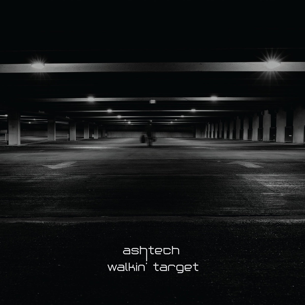 Ashtech - Walkin' Target (LP)