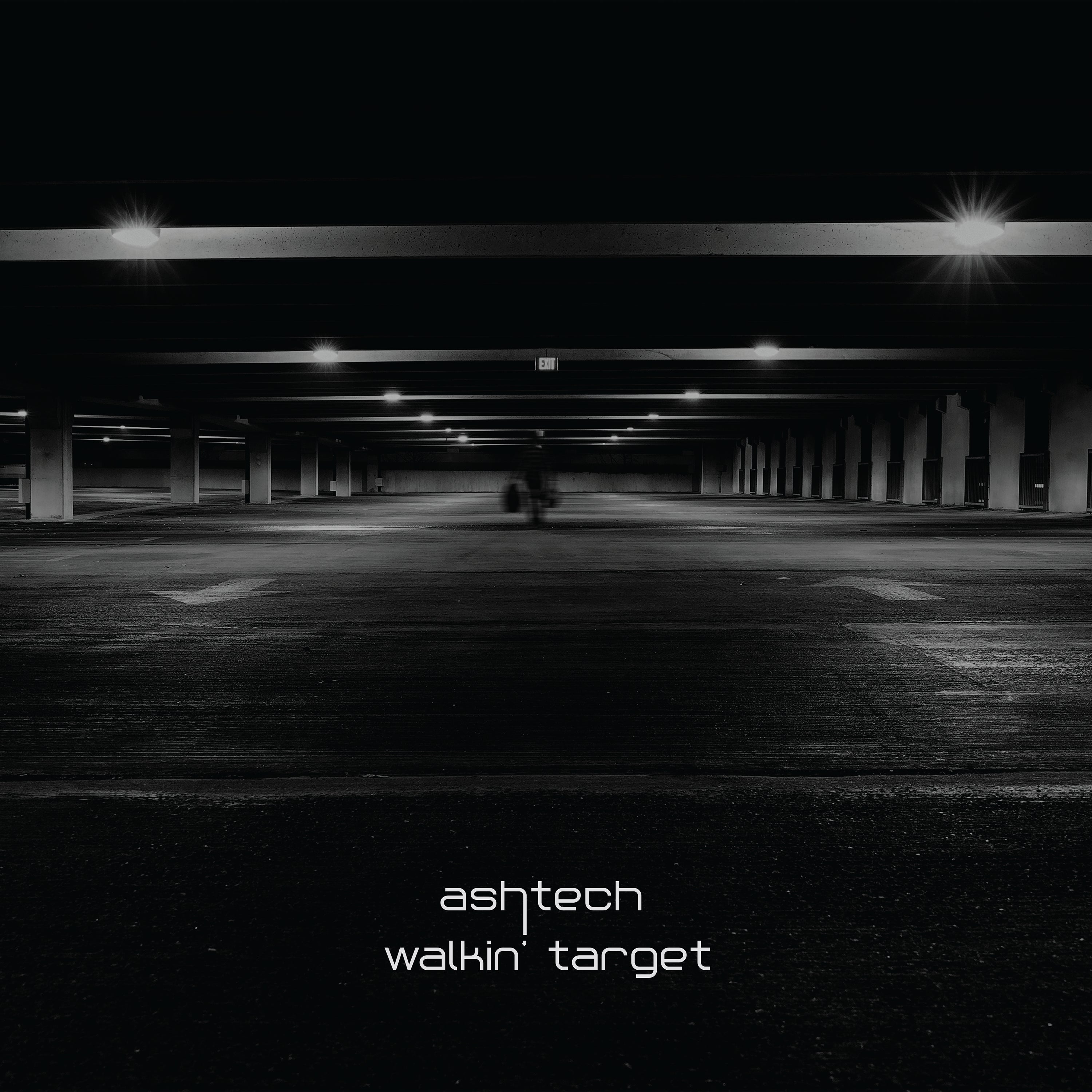 Ashtech - Walkin' Target (LP)