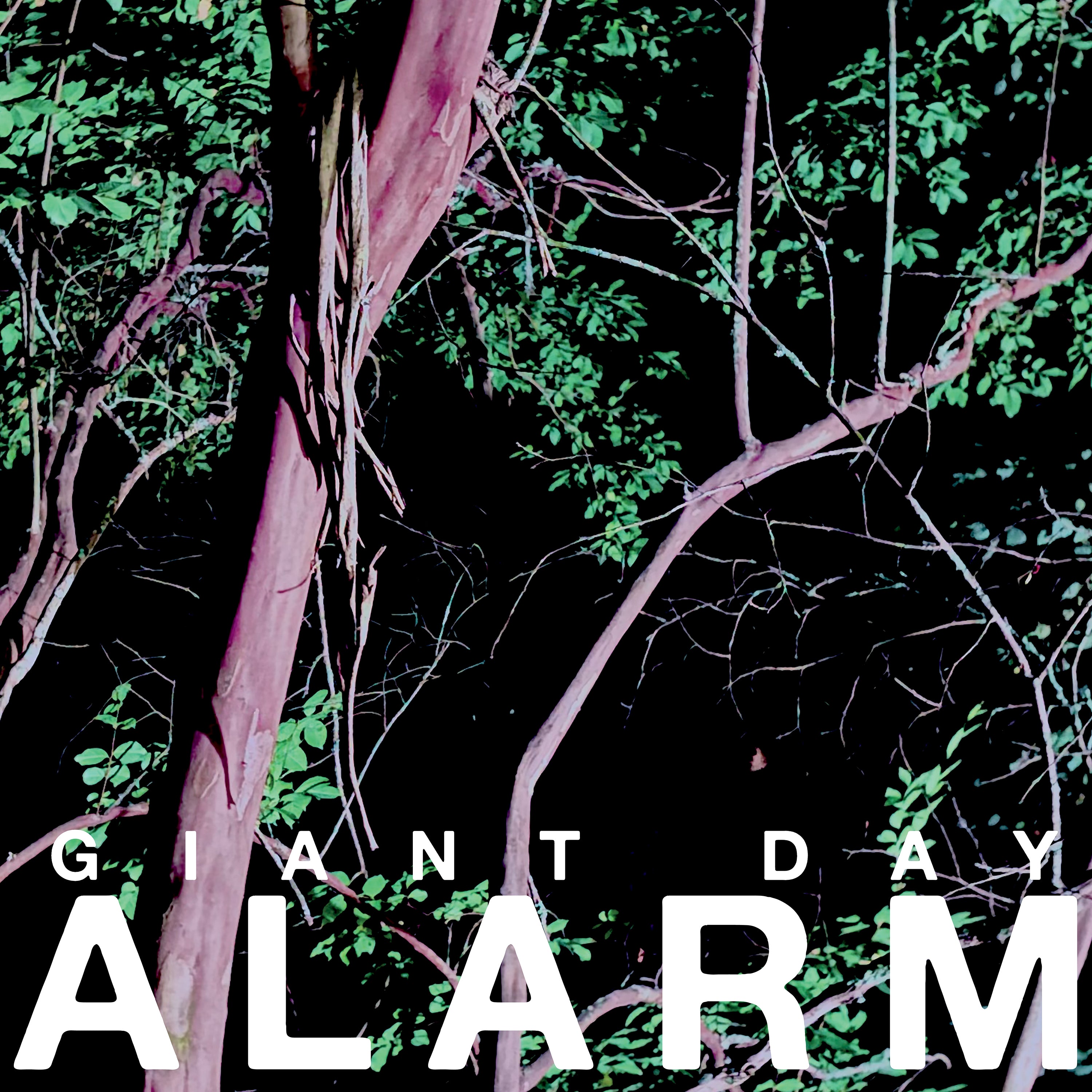 Giant Day - Alarm (LP)