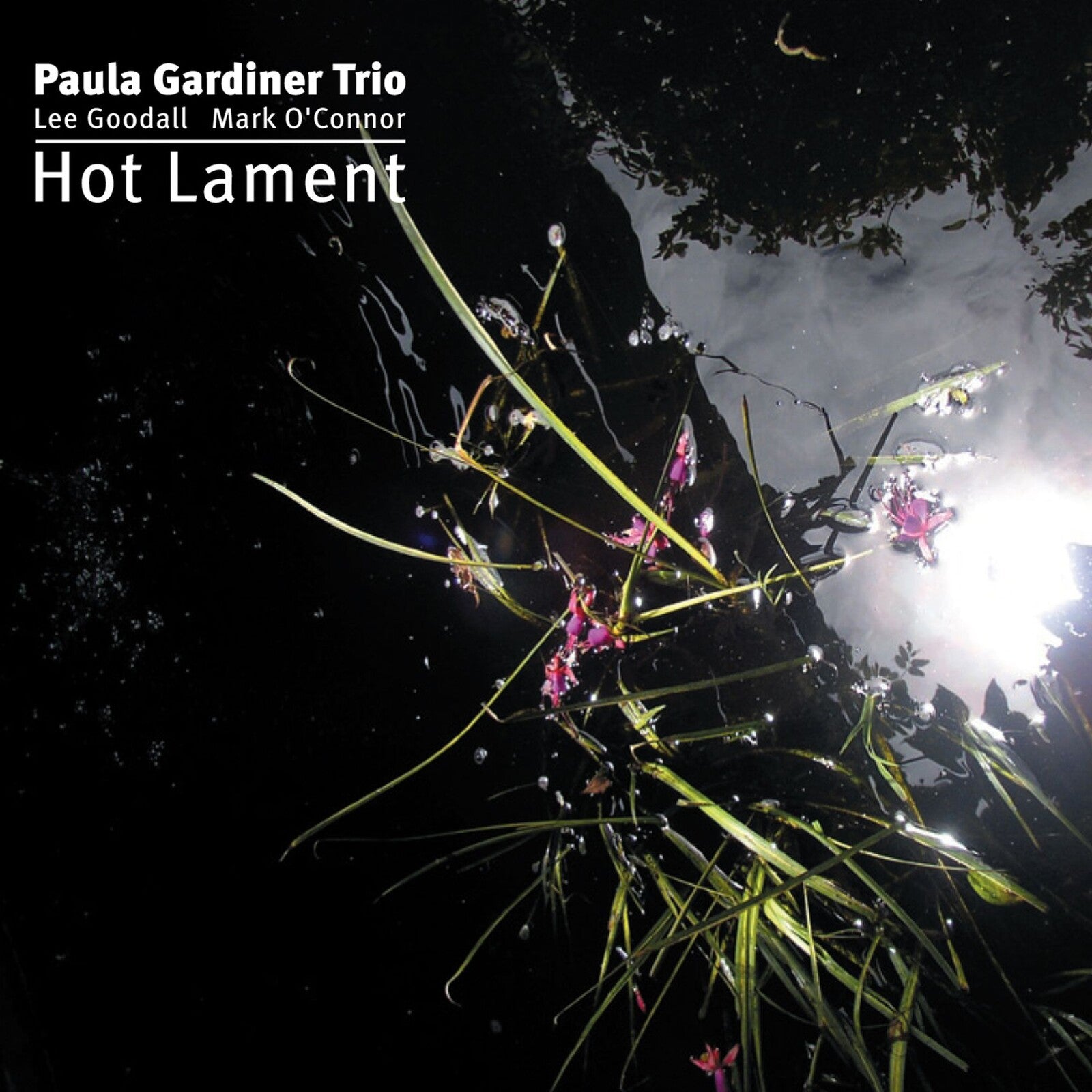 Paula Gardiner Trio & Lee Goodall & Mark O'Connor - Hot Lament (CD)