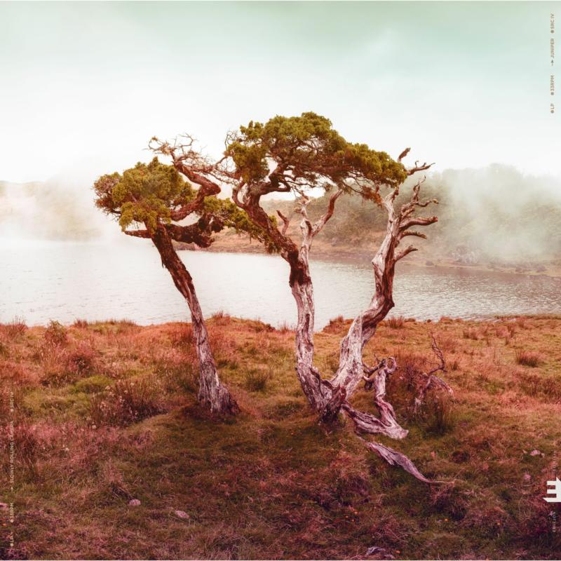 Slowly Rolling Camera - Juniper (CD)