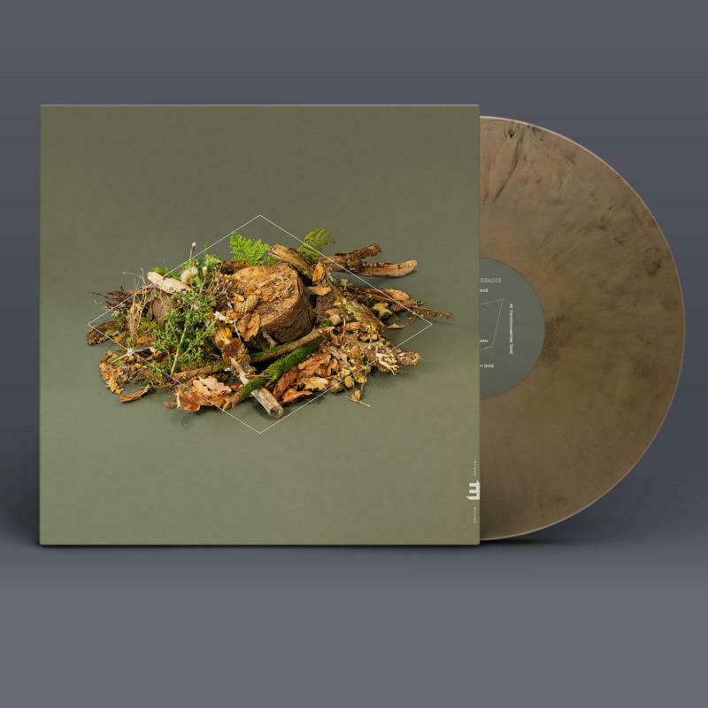 Fergus McCreadie - Forest Floor (LP)